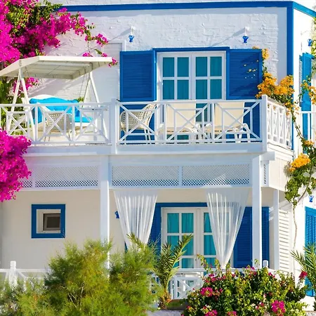 Mavi Beyaz 팔라무트부쿠