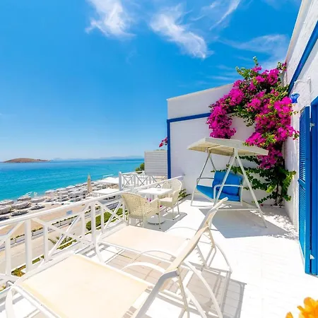 Mavi Beyaz 3* Palamutbuku