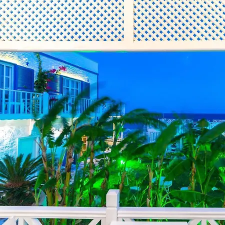 Mavi Beyaz 3* パラムップク