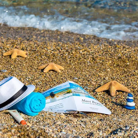 Mavi Beyaz 3* Palamutbuku