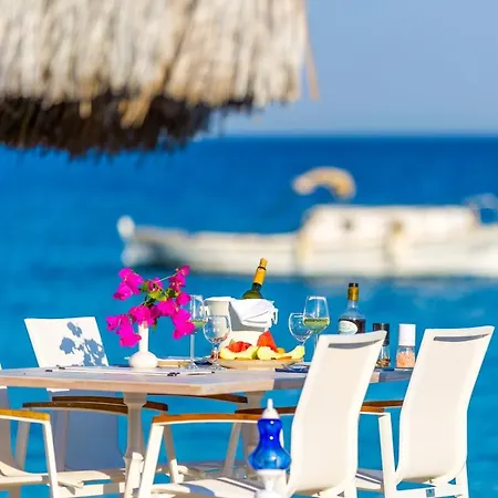 Mavi Beyaz 팔라무트부쿠