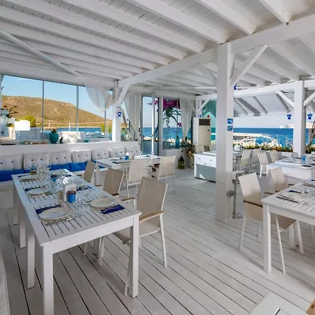 Mavi Beyaz 팔라무트부쿠