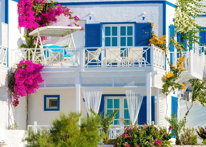 Mavi Beyaz パラムップク