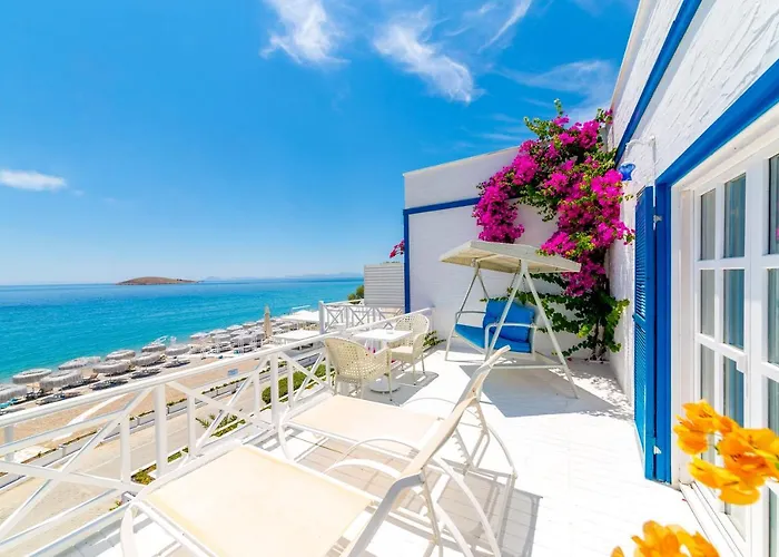 Mavi Beyaz 3* Palamutbuku