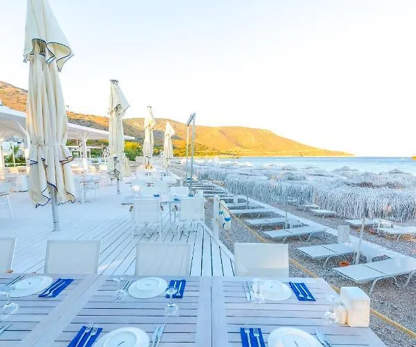 Mavi Beyaz Palamutbuku