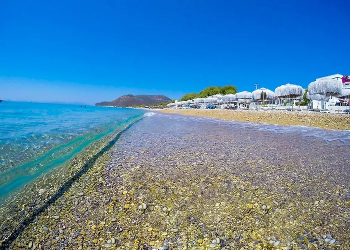 Mavi Beyaz 3* パラムップク