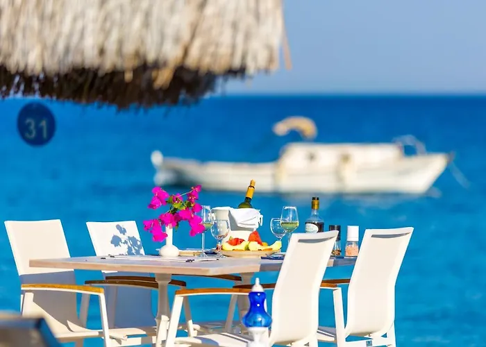 Mavi Beyaz Palamutbuku