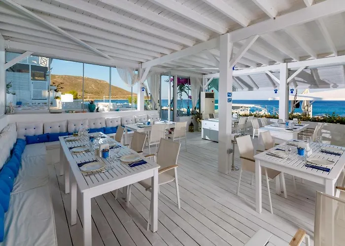 Mavi Beyaz Palamutbuku