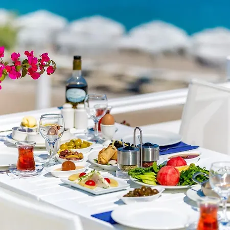 Mavi Beyaz Palamutbuku