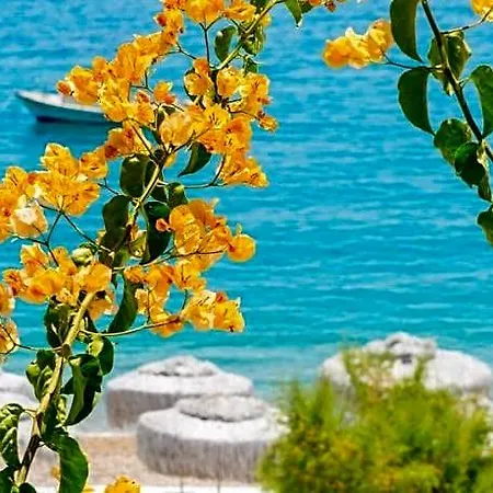 فندق Mavi Beyaz