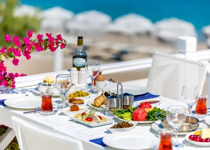 Mavi Beyaz Паламутбуку